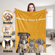 将图片加载到图库查看器,Pet Blanket(宠物毯子)(新增礼盒弹窗)