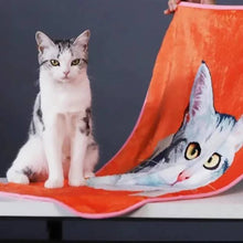 将图片加载到图库查看器,Pet Blanket(宠物毯子)(新增礼盒弹窗)